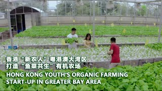 Hong Kong Youth’s Organic Farming Start-up in Greater Bay Area