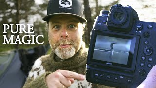 My most epic moment in nature - BIRD PHOTOGRAPHY in magic conditions