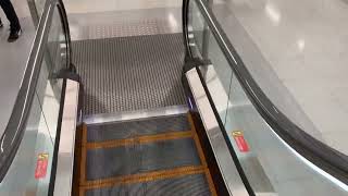 【東芝】 2X エスカレーター 羽田空港第一ビル到着 2X escalator Haneda Airport 1st building arrival Tokyo Japan