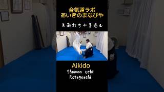 正面打ち小手返し　#aikido #合気道 #あいきのまなびや #遠軽町 #engaru  #小手返し #kotegaeshi