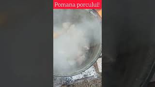 Pomana porcului (Românesc)🇹🇩🇹🇩🇹🇩