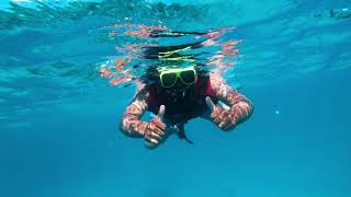 Snorkeling in Puerto Rico - GoPro Hero 7 4K