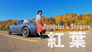 Virtual Drive Incredible Autumn Road Full Of Colors in Japan 2020