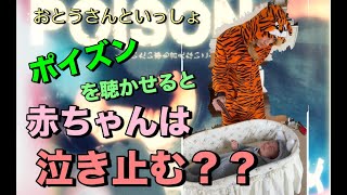 【子育て】泣いてる赤ちゃんに反町隆史のPOISONを聴かせたら泣き止むを検証してみた結果