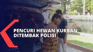 Melawan Saat Ditangkap, Pelaku Pencuri Hewan Kurban Ditembak Polisi