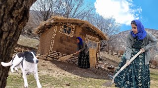 Farzaneh's battle with strong winds and his attempt to seal the seams of his small forest house