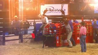 Michael Otero's Cinch Boyd Gaming Chute-Out Rodeo Highlight From 2015