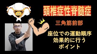 頚椎症性脊髄症のリハビリテーション-座位で鍛える三角筋前部繊維の運動方法と効果を高めるポイント