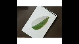 leaf realistic drawing @leaf // @Creative Drawing easy