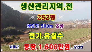 물번.677번) 너무너무 좋아요 전,252평 몽땅,1.600만원 매매합니다 전기 들어와 있고 작은 농막, 바다뷰~ 양호 생산관리지역, 유실수식재, 공시지가,2.900만원이나~갑니다