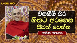 20) වගකීම් බර හිතට අරගෙන ජීවත් වෙන්න | කණ්හ ජාතකය | Jathaka Katha