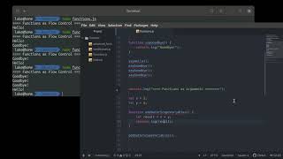 JavaScript - Flow Control - Functions as Arguments (Callbacks)