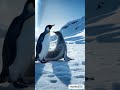 دمج اسطورى بارت 55البطريق ai animeedit animals trendingshorts الذكاءالاصطناعى wildlife aiart