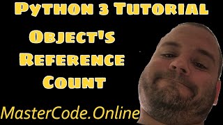 What Is The Object's Reference Count in Python 3
