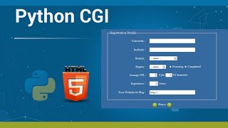 How To Upload File On Web Server WIth Python cgi Using Web Html Form Without Any Web Framework