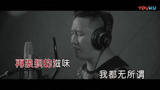 杨树林+贲小伟【再醉一回】原版MV~KTV字幕版