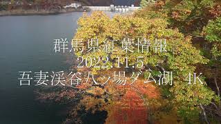 群馬県紅葉情報　2022.11.5　八ッ場ダム湖周辺の紅葉　4K