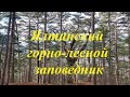 Ялтинский горно-лесной заповедник, Массандровский парк, Ялта, Крым, 8 марта 2023 года