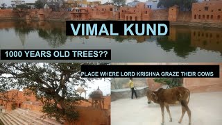 Vimal Kund Kaman | Place where Lord Krishna graze their cows | Brij Dham Yatra