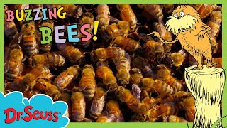 Buzzing Bees | Brand New Full Episode | The Lorax Nature Keepers Club | Dr. Seuss