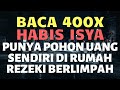 baca 400x habis isya amalan doa dzikir sholawat punya pohon uang sendiri di rumah u0026 rezeki melimpah