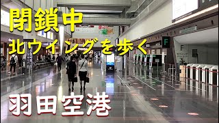 【羽田空港第1ターミナル】閉鎖中の北ウイングを歩く【JAL日本航空】