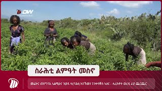 DW TV  መሬትና ብዝግባእ ኣልሚዕና ዝያዳ ተረባሕቲ ክንኸውን ንንቀሳቐስ ኣለና - ሓረስቶት ወረዳ ራያ ጨርጨር