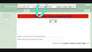 The Wik Wiki on Wikis