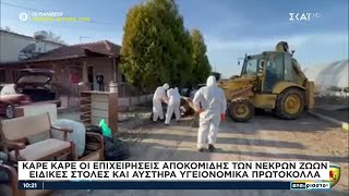 Θεσσαλία: Στρατιωτικές μονάδες περισυλλέγουν νεκρά ζώα – Νέοι έφτιαξαν φορητά φωτοβολταϊκά