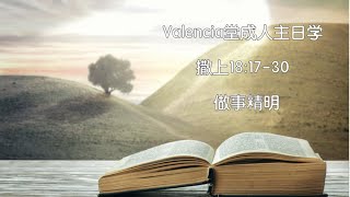 Valencia查经班：撒上18:17-30 做事精明