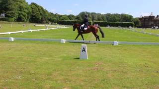 Innocent Flight Houghton Hall CCI* dressage May 17