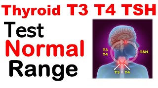 Thyroid t3 t4 tsh normal values | Thyroid test normal range