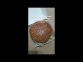 麥當勞全新升級 big mac 巨無霸率先食！ shorts