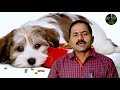 நாய்களில் இரத்தக் கழிச்சல் சிகிச்சை தடுப்பூசி parvo viral enteritis treatment vaccination