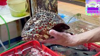 Best seafood at Taipo Hui Market. 大埔墟街市尋找至靚海鮮，輕鬆煮海鮮大餐