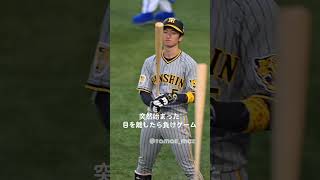 目を逸らしたら負け #阪神タイガース #近本光司 #カメラ警察 #プロ野球