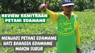 PETANI EDAMAME KEMITRAAN PETANI SEJATI DI NGLUWAR MAGELANG