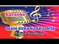 karaoke DIAM BUKAN TAK CINTA _ Pance Pondang