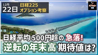 【日経225オプション考察】12/22 日経平均 500円超の急落！ 逆転の年末高の可能性、その期待値は？