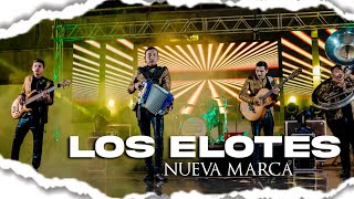 Nueva Marca - Los Elotes / En vivo