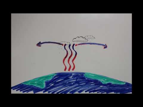 What are Hadley cells and where do they occur?