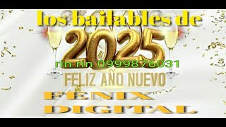 BAILABLES MIX .. AÑO NUEVO 2025 de Fenix Digital