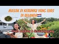 MASAK TUMIS KANGKUNG DARI KEBUNKU ||  HIDUP DI PEDESAAN BELANDA