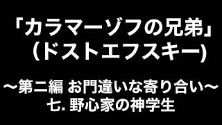 【朗読】ドストエフスキー『カラマーゾフの兄弟』第二編  お門違いな寄り合い七. 野心家の神学生