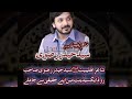 Zakir Syed Haider Rizvi Shaheed Poetry WhatsApp status  #shorts #2022 Poetry #haiderrizvi