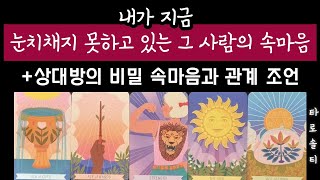 [타로카드/속마음] 내가 지금 눈치채지 못하고 있는 그 사람의 진심은? (+상대방의 비밀 속마음과 행동 예측)