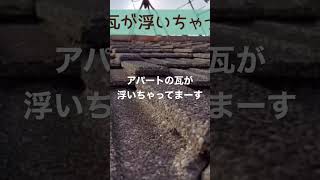 築４８年/全空アパート/古い瓦が浮いちゃってます💦