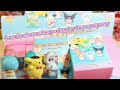 Blind box unboxing Sanrio characters day by day company series