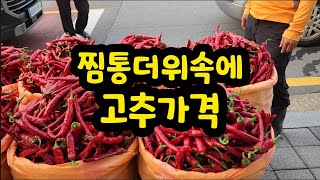 찜통더위의 고추가격? 안중시장에서 공개