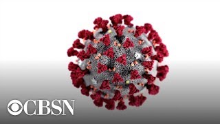 Watch live: World Health Organization gives coronavirus update
